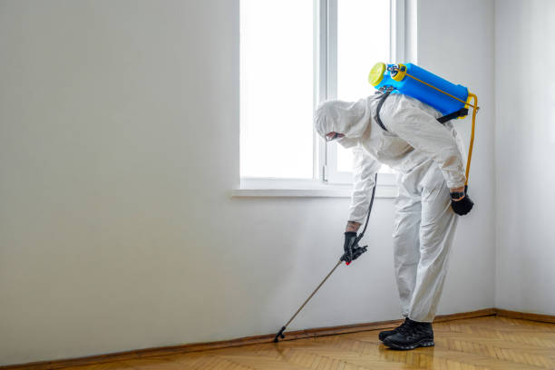 Reliable Waimea, HI Pest Control Solutions