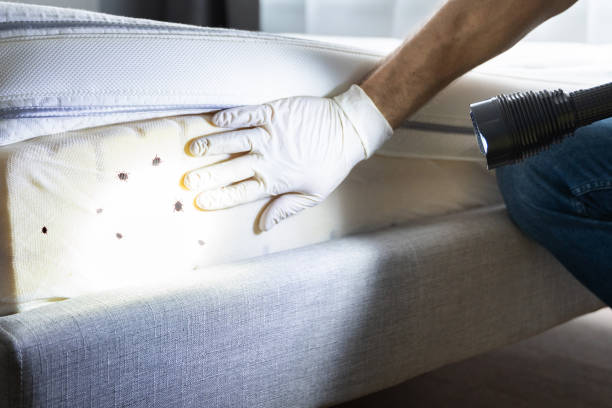 Best Best Pest Control Companies  in Waimea, HI