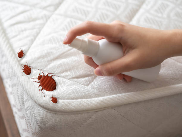 Pest Prevention Services in Waimea, HI