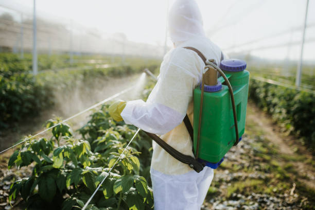 Pest Control for Restaurants in Waimea, HI